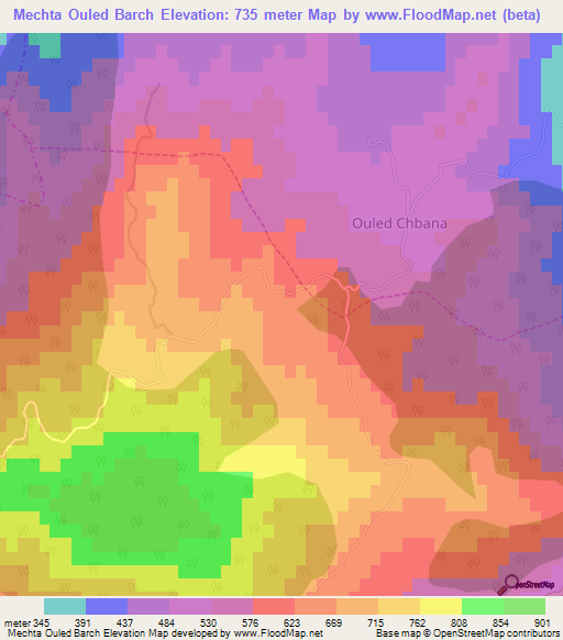 Mechta Ouled Barch,Algeria Elevation Map