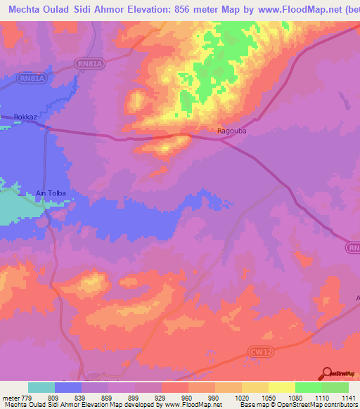Mechta Oulad Sidi Ahmor,Algeria Elevation Map