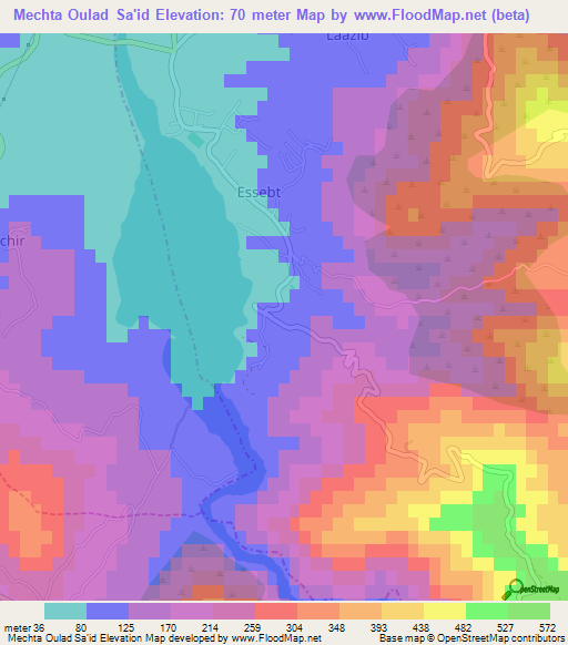 Mechta Oulad Sa'id,Algeria Elevation Map