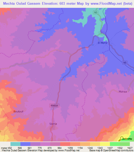 Mechta Oulad Gassem,Algeria Elevation Map
