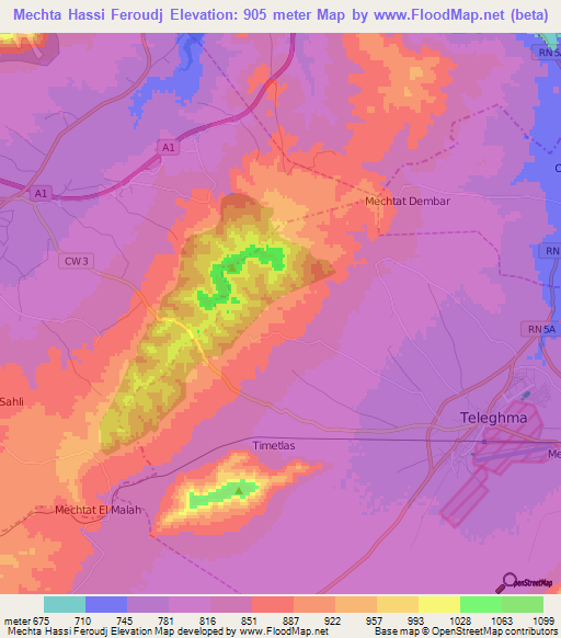 Mechta Hassi Feroudj,Algeria Elevation Map