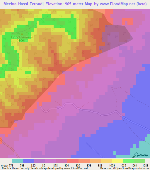 Mechta Hassi Feroudj,Algeria Elevation Map