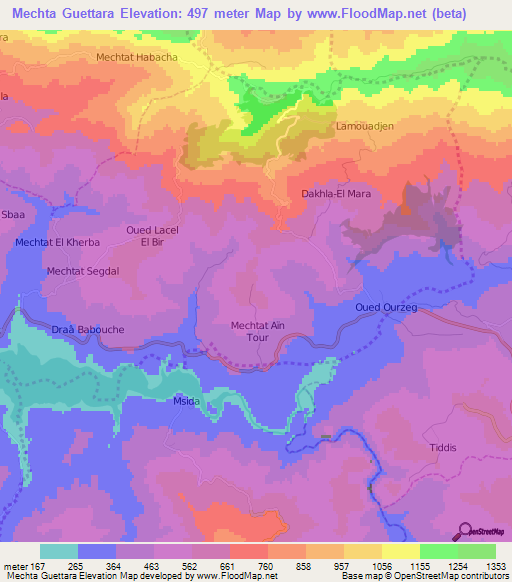 Mechta Guettara,Algeria Elevation Map