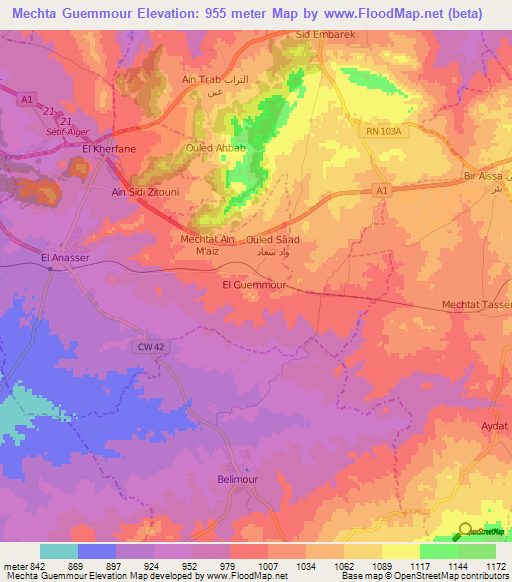 Mechta Guemmour,Algeria Elevation Map