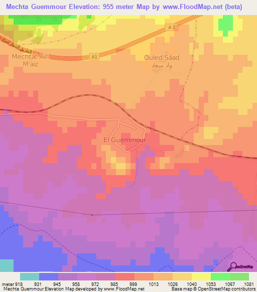 Mechta Guemmour,Algeria Elevation Map