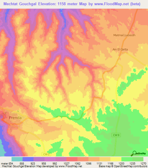 Mechtat Gouchgal,Algeria Elevation Map
