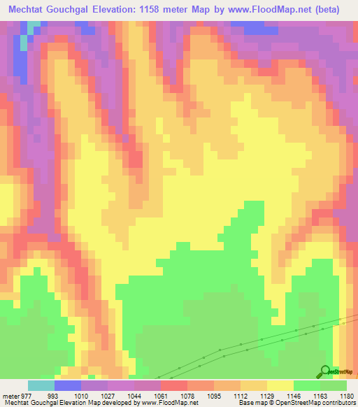 Mechtat Gouchgal,Algeria Elevation Map