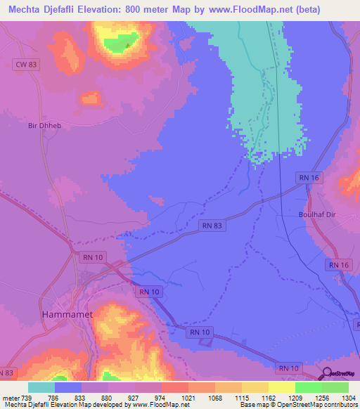 Mechta Djefafli,Algeria Elevation Map
