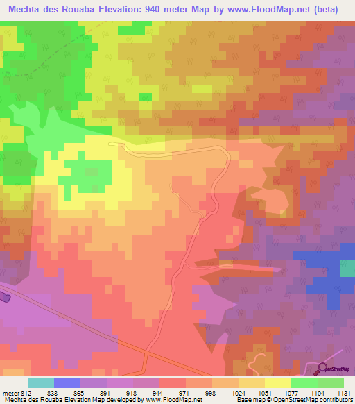 Mechta des Rouaba,Algeria Elevation Map