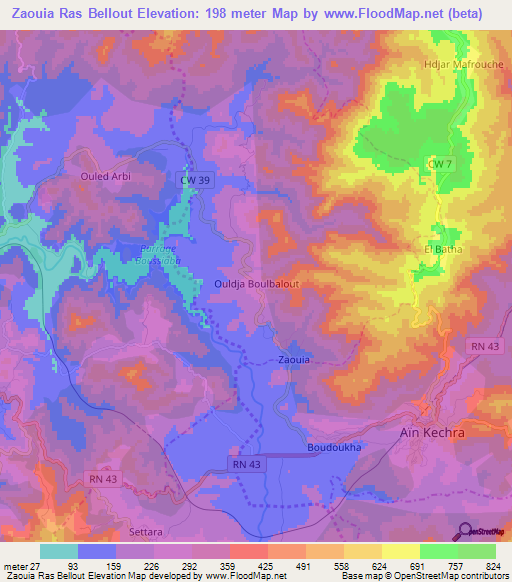 Zaouia Ras Bellout,Algeria Elevation Map