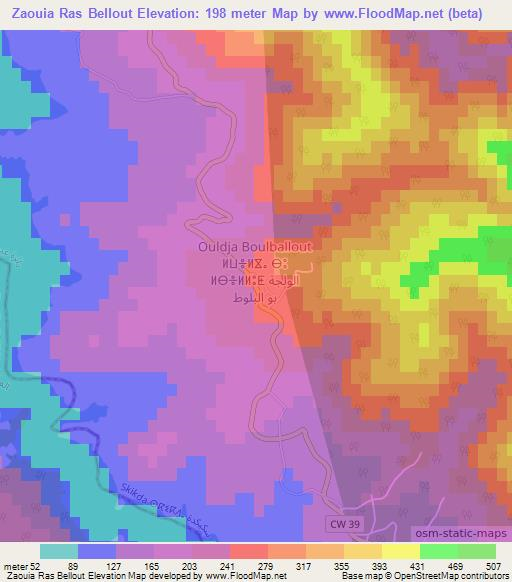 Zaouia Ras Bellout,Algeria Elevation Map