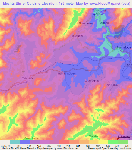 Mechta Bin el Ouidane,Algeria Elevation Map