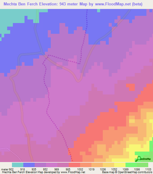 Mechta Ben Ferch,Algeria Elevation Map