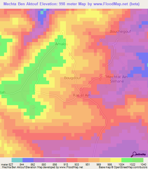 Mechta Ben Aktouf,Algeria Elevation Map