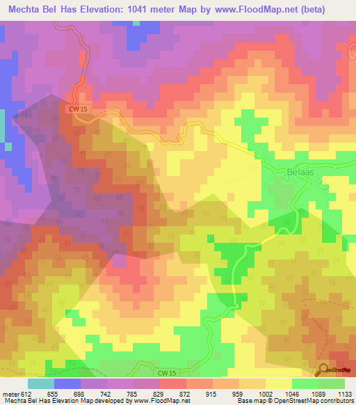 Mechta Bel Has,Algeria Elevation Map