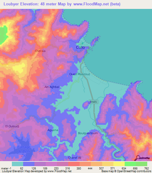 Loubyer,Algeria Elevation Map