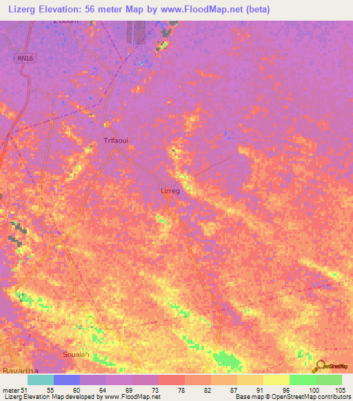 Lizerg,Algeria Elevation Map