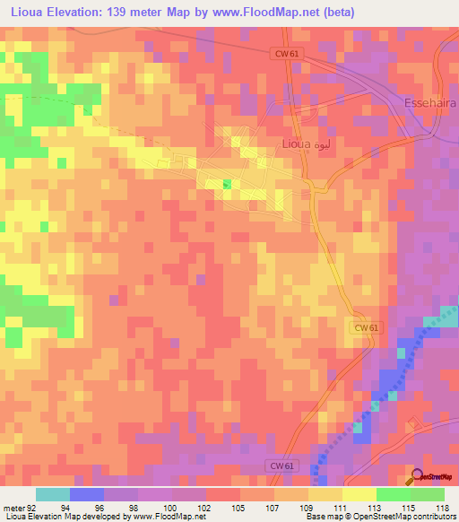 Lioua,Algeria Elevation Map