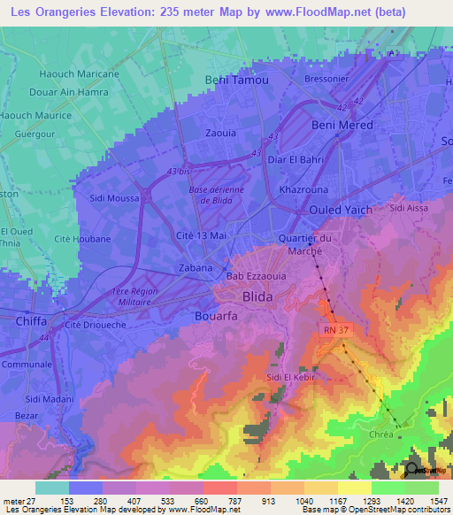 Les Orangeries,Algeria Elevation Map