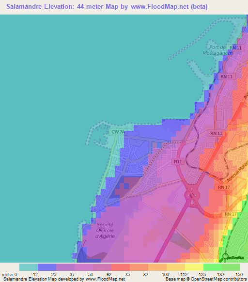 Salamandre,Algeria Elevation Map