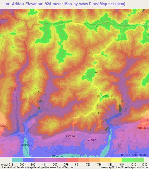 Lari Addou,Algeria Elevation Map