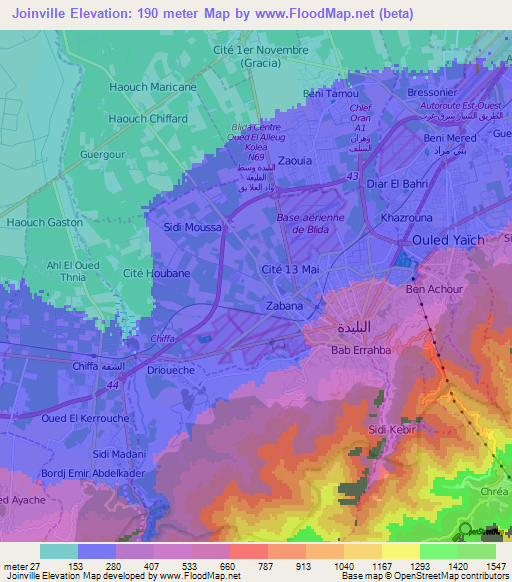 Joinville,Algeria Elevation Map