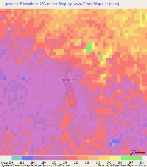 Igostene,Algeria Elevation Map