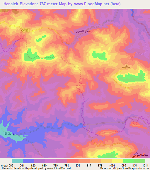 Henaich,Algeria Elevation Map