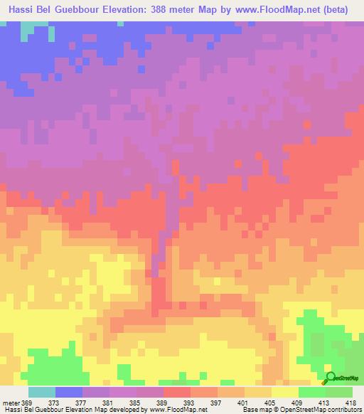 Hassi Bel Guebbour,Algeria Elevation Map