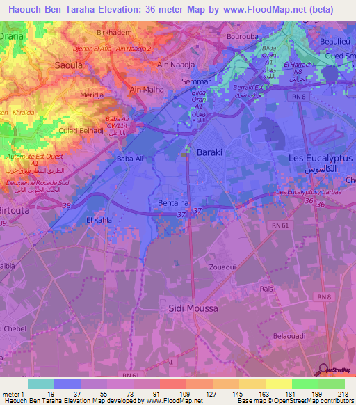 Haouch Ben Taraha,Algeria Elevation Map