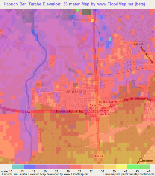 Haouch Ben Taraha,Algeria Elevation Map