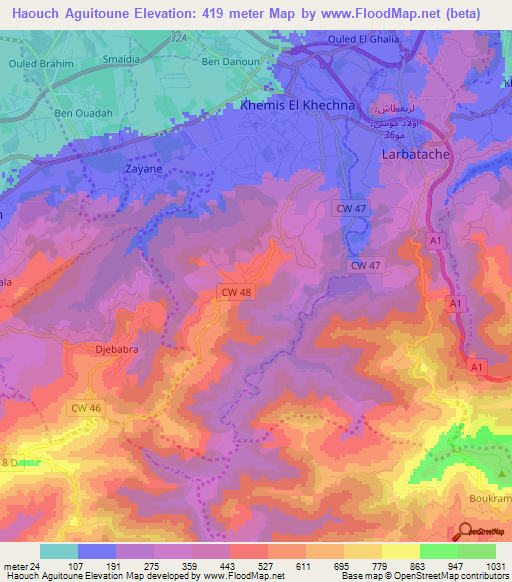 Haouch Aguitoune,Algeria Elevation Map