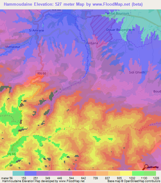 Hammoudaine,Algeria Elevation Map