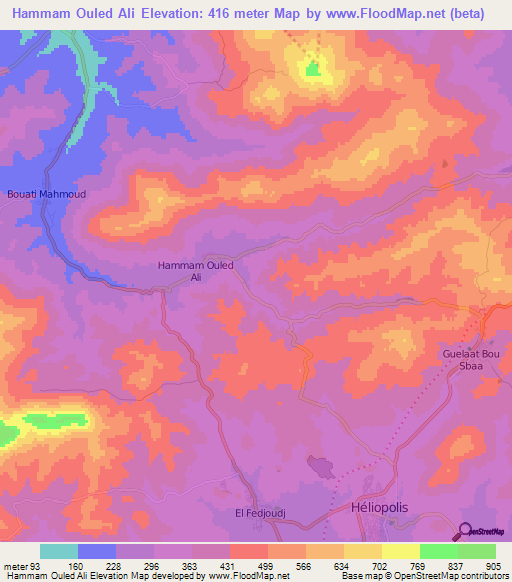 Hammam Ouled Ali,Algeria Elevation Map