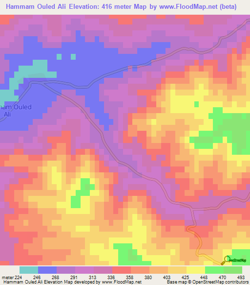 Hammam Ouled Ali,Algeria Elevation Map