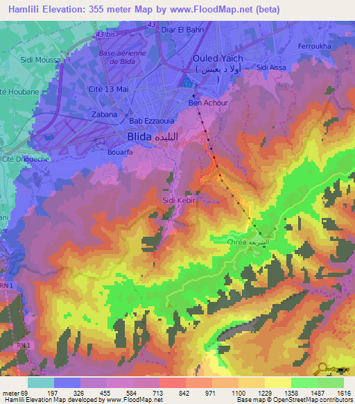 Hamlili,Algeria Elevation Map