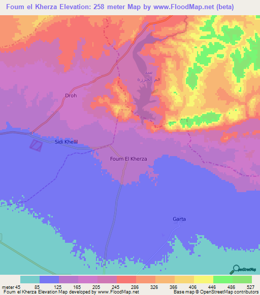 Foum el Kherza,Algeria Elevation Map