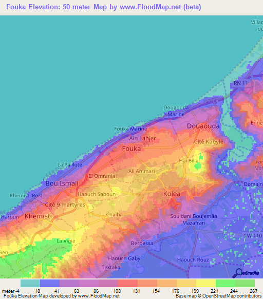 Fouka,Algeria Elevation Map