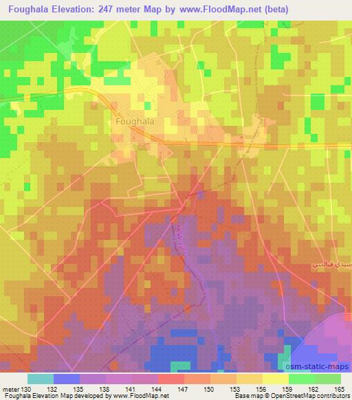 Foughala,Algeria Elevation Map