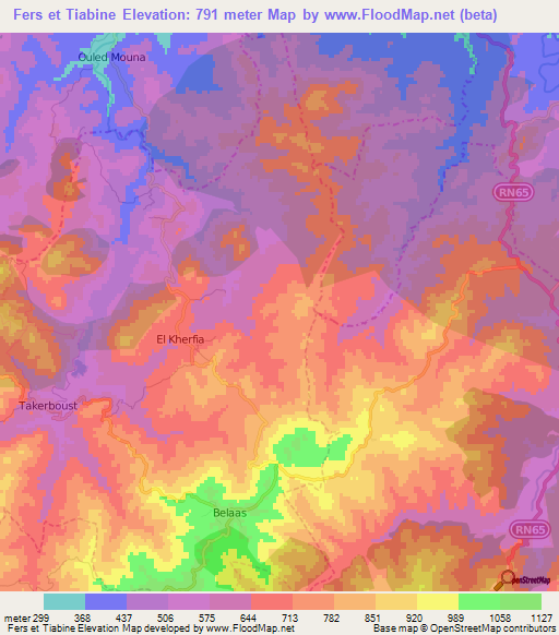 Fers et Tiabine,Algeria Elevation Map