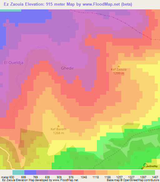Ez Zaouia,Algeria Elevation Map