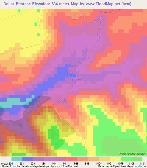 Douar Ettorche,Algeria Elevation Map