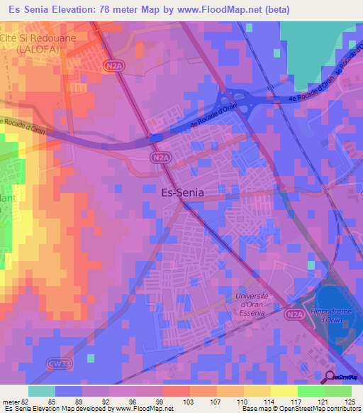Es Senia,Algeria Elevation Map