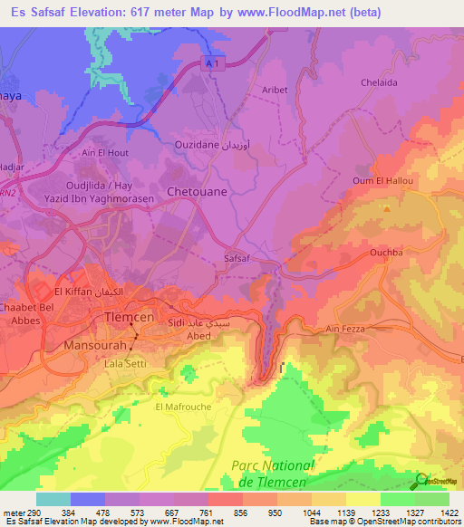 Es Safsaf,Algeria Elevation Map