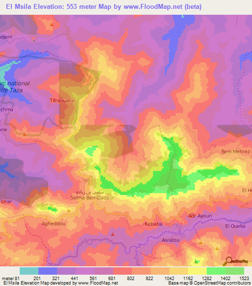 El Msila,Algeria Elevation Map