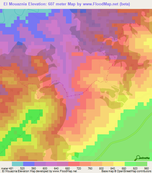 El Mouaznia,Algeria Elevation Map