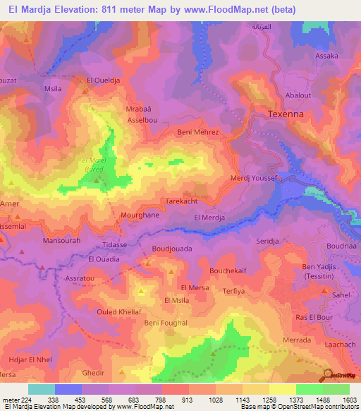 El Mardja,Algeria Elevation Map