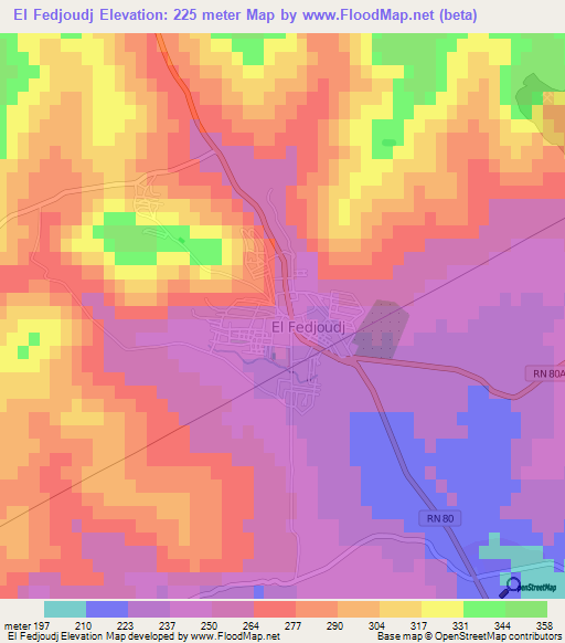 El Fedjoudj,Algeria Elevation Map