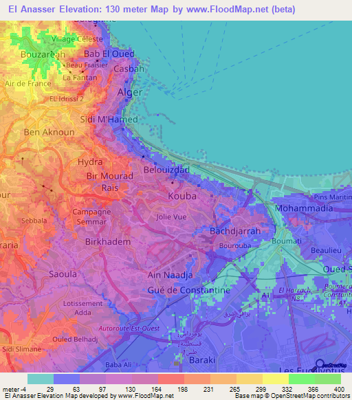 El Anasser,Algeria Elevation Map