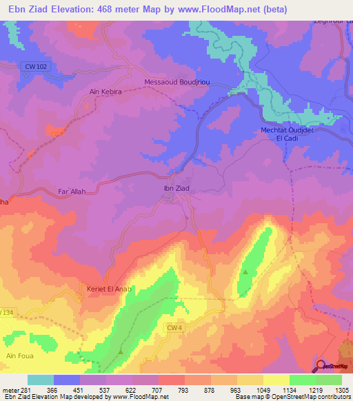 Ebn Ziad,Algeria Elevation Map